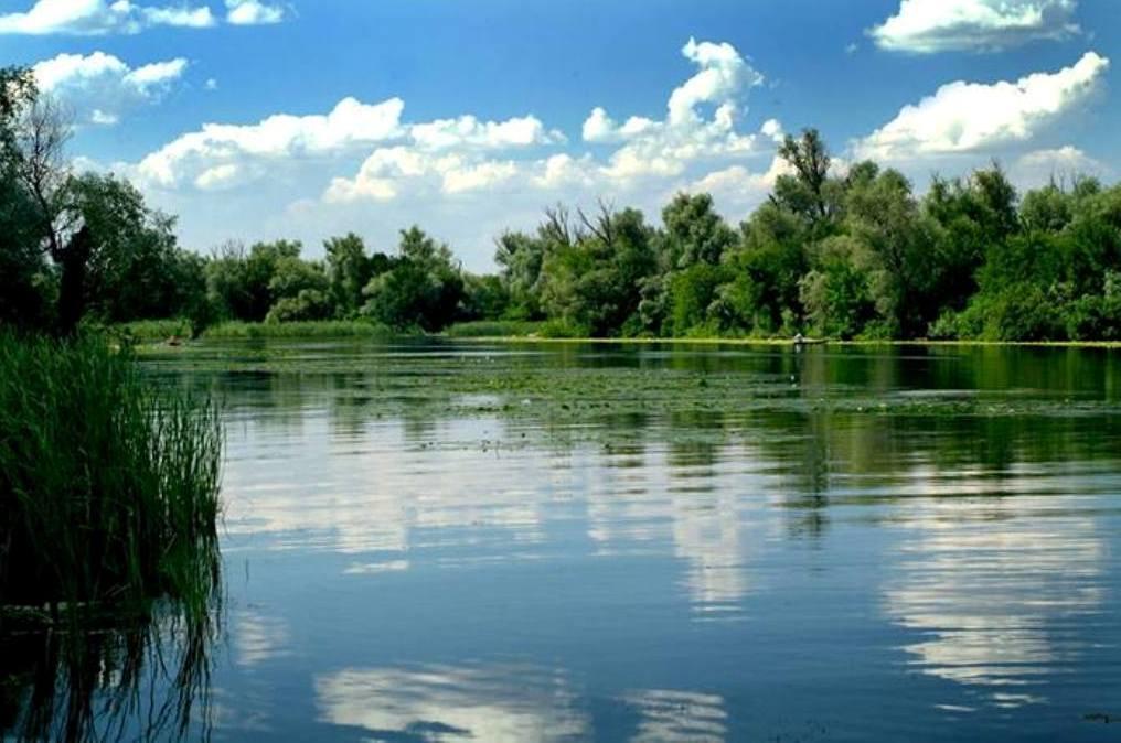 Family Complex Ekokomfort Sagunovka Bagian luar foto