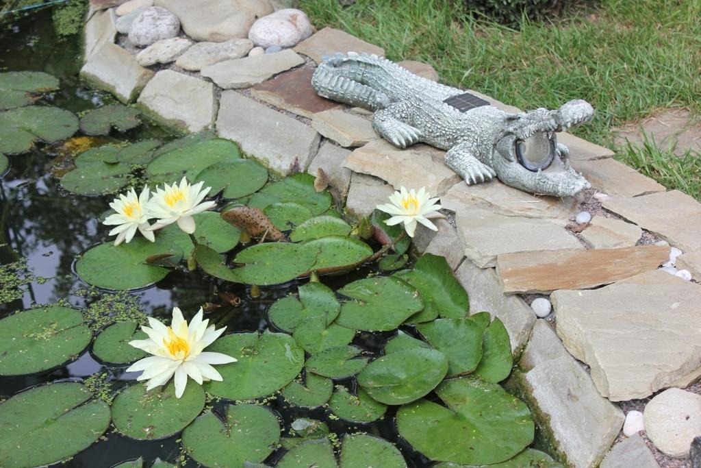 Family Complex Ekokomfort Sagunovka Bagian luar foto